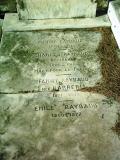 image of grave number 455789